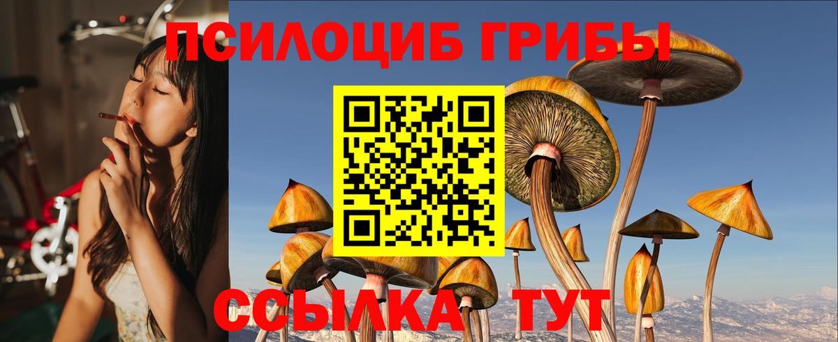 Галлюциногенные грибы Psilocybine cubensis Наро-Фоминск
